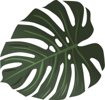 экологические нормы в Узбекистане Андижан Фергана Наманган o'zbekistondagi ekologik normalar Image