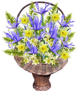 экологические нормы в Узбекистане Андижан Фергана Наманган o'zbekistondagi ekologik normalar Image