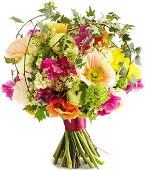 экологические нормы в Узбекистане Андижан Фергана Наманган o'zbekistondagi ekologik normalar Image