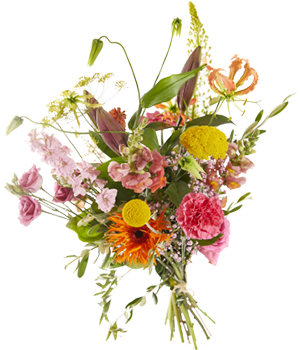 экологические нормы в Узбекистане Андижан Фергана Наманган o'zbekistondagi ekologik normalar Image